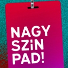 NAGY-SZÍN-PAD! 2019 Megvannak a döntősök!