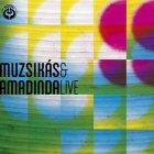 Muzsikás-Amadinda - Live! A magyar népzene találkozása a kultúrák ritmusaival