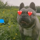 Peterjabin ft. Emy: Új vágy