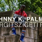 Johnny k. Palmer: Margitszigeti fák