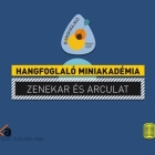 Hangfoglaló Miniakadémia: Zenekar és arculat