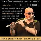 Álomkoncert, Török Ádám életmű est a Budapest Kongresszusi Központban